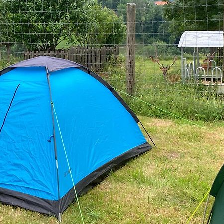 Semriach Camping F Selbstversorger Gut Jaegerhof Adults Only מראה חיצוני תמונה